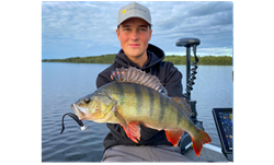 Picture of Monkey Vibe with Ned Head 10cm, 2/0