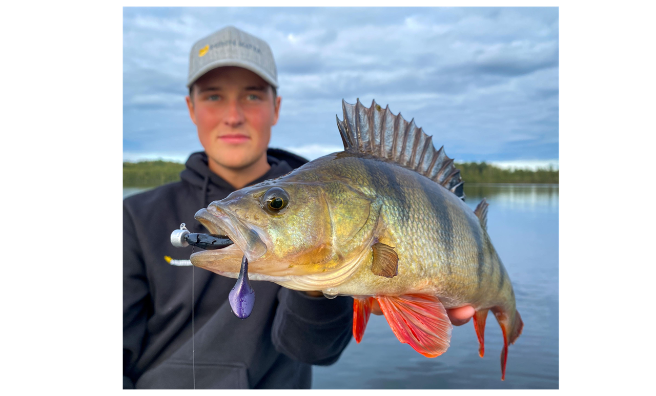 Picture of Monkey Vibe with Ned Head 10cm, 2/0