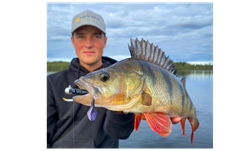 Picture of Monkey Vibe with Ned Head 10cm, 2/0