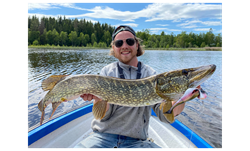 Picture of Headbanger Shad 22 cm Svävande