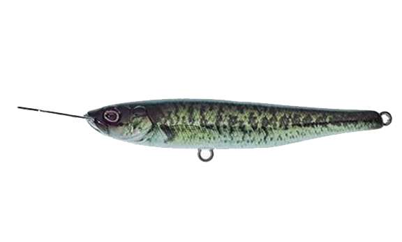 Illex Riser Bait 007 (7 cm) RT Biwako Bass - Kanalgratis