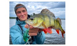 Picture of FALL 2022 BUNDLE Perch