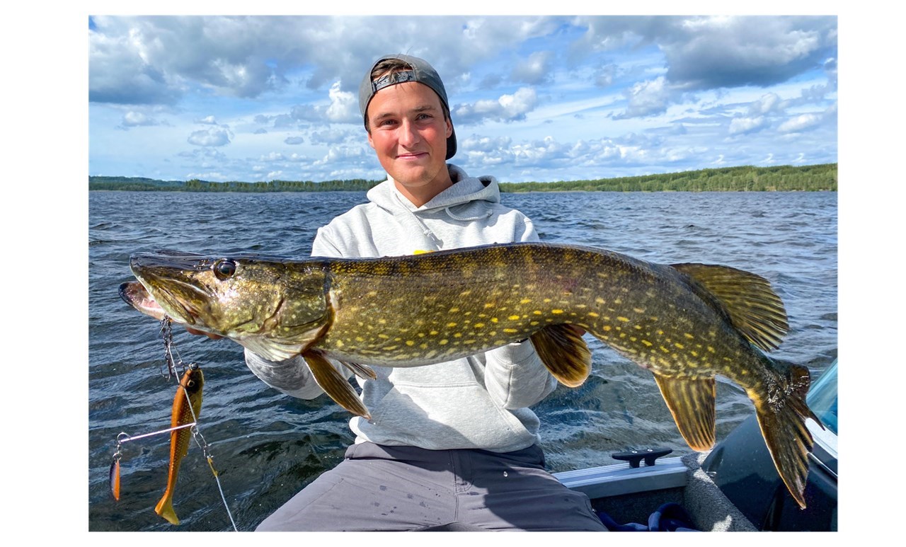 Picture of Bundle for pike fishing