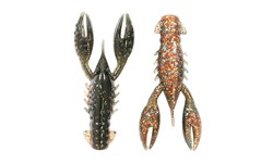 Picture of Z-man TRD Crawz 6,3cm 6-pack