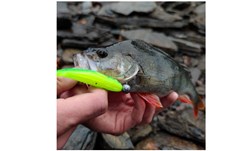 Picture of Muddy water bundle Perch/Zander