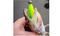 Picture of Muddy water bundle Perch/Zander