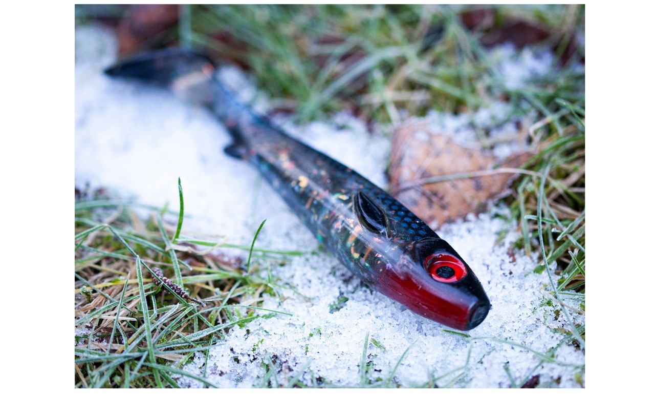 Picture of Flatnose Shad - New Moon