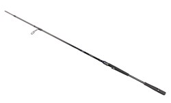 Picture of Daiwa Prorex AGS Haspel 8'0'' 10-30g Versatile