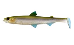 Picture of Westin HypoTeez ST 25 cm - Pearl