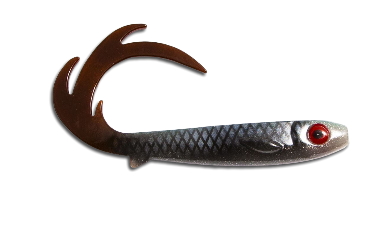 Picture of Flatnose Dragon 27cm