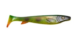 Picture of Fatnose Shad 23cm