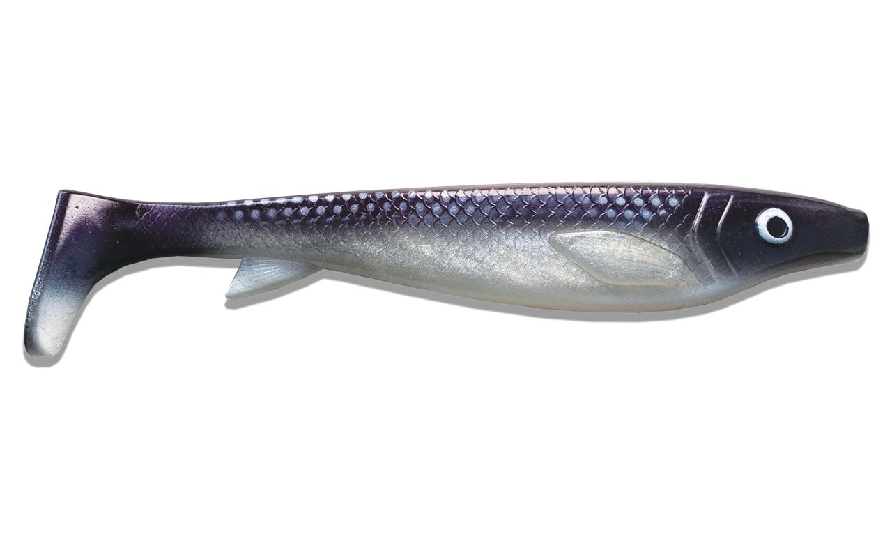 Picture of Fatnose Shad 23cm