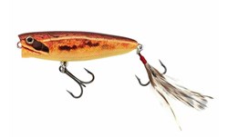 Picture of Nories Tough Bug 6,5cm Popper