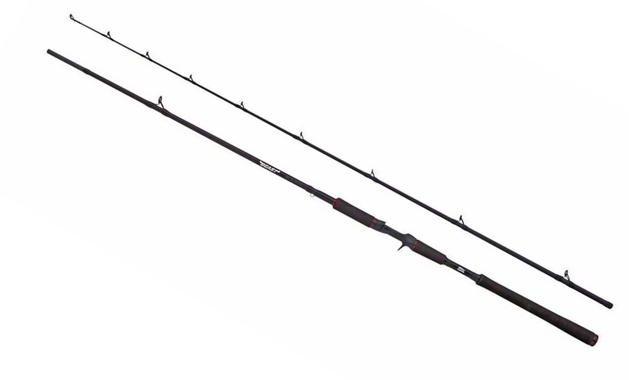 Picture of Abu Garcia Beast Pike Casting Rod