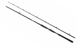 Picture of Abu Garcia Beast Pike Casting Rod