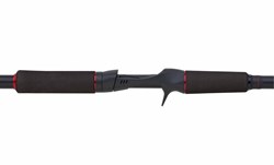 Picture of Abu Garcia Beast Pike Casting Rod