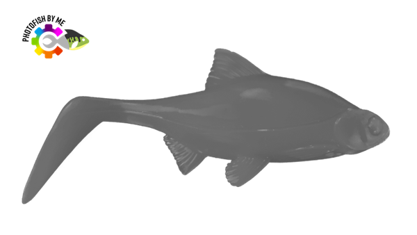 Picture of Photofish Hooligan Roach Jr 15cm,45gr, 1-pack
