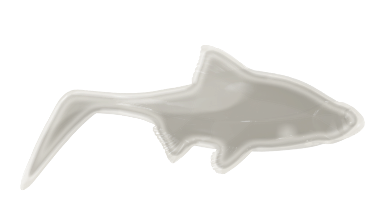Transparent Base
