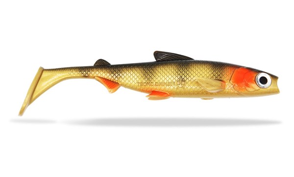 Picture of Renky Shad 22cm