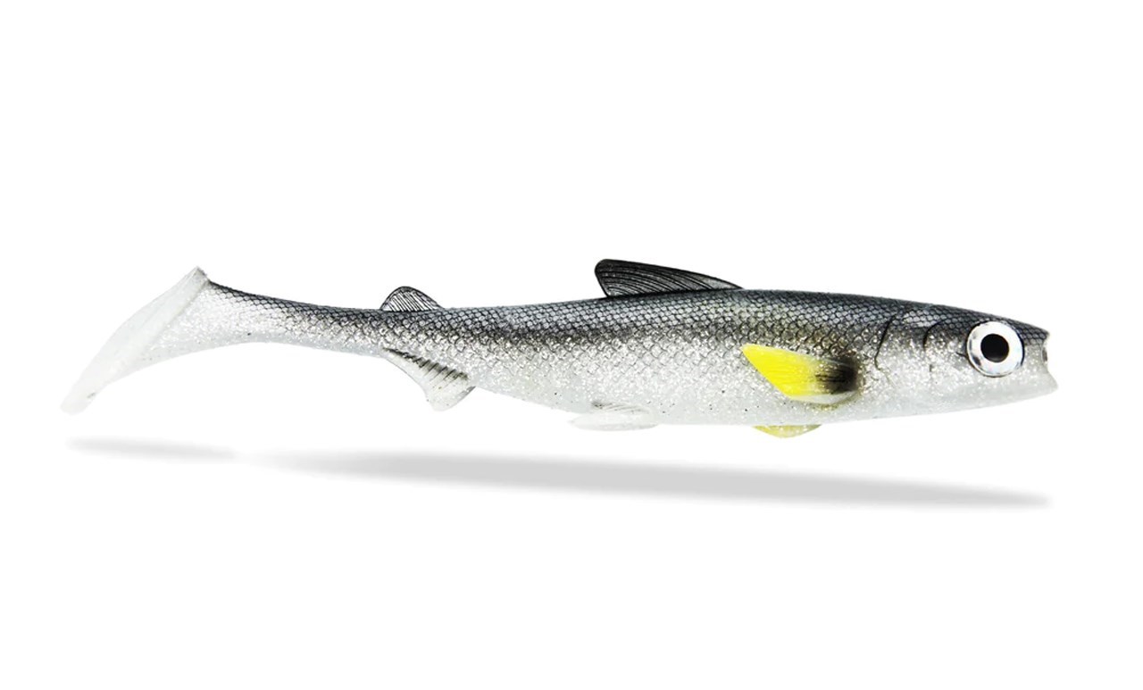 Picture of Renky Shad 22cm