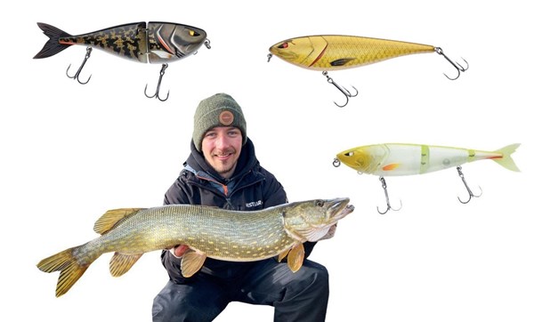 Picture of Bundle with the NEW ZILLA series PIKE