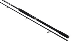 Picture of Bullseye Beast Boat 240, 45-90g Spinning Rod