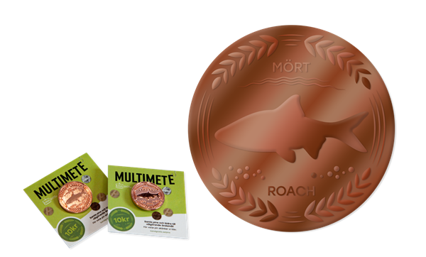 Picture of MM-B-Roach