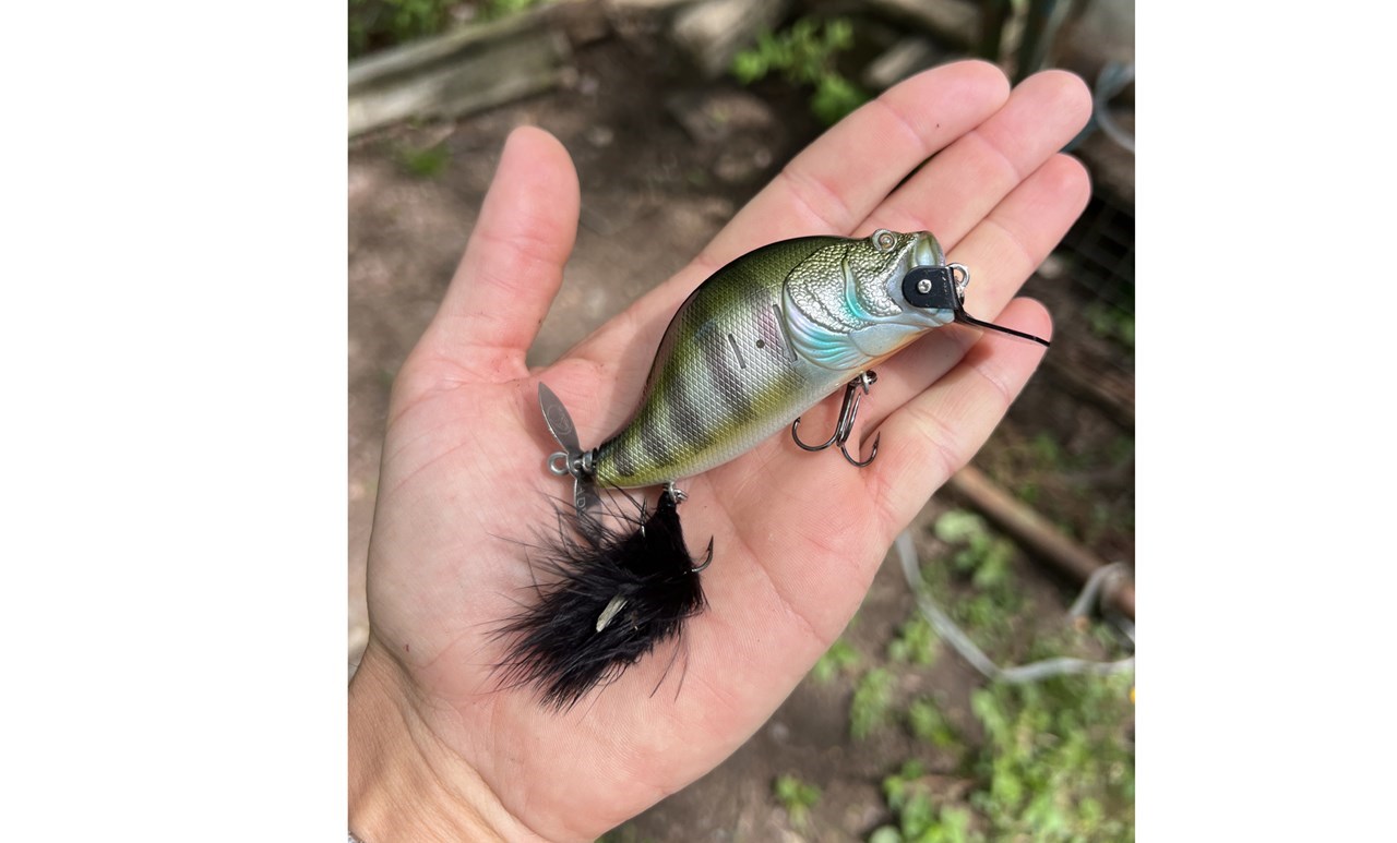 Picture of Adusta ZACRAWL SC 9cm Blue Gill