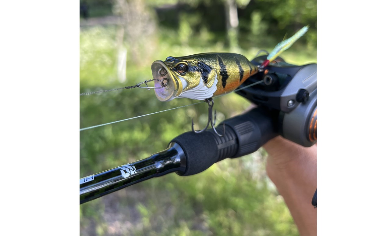 Picture of Adusta NEO REAN 6,8cm Peacock Bass