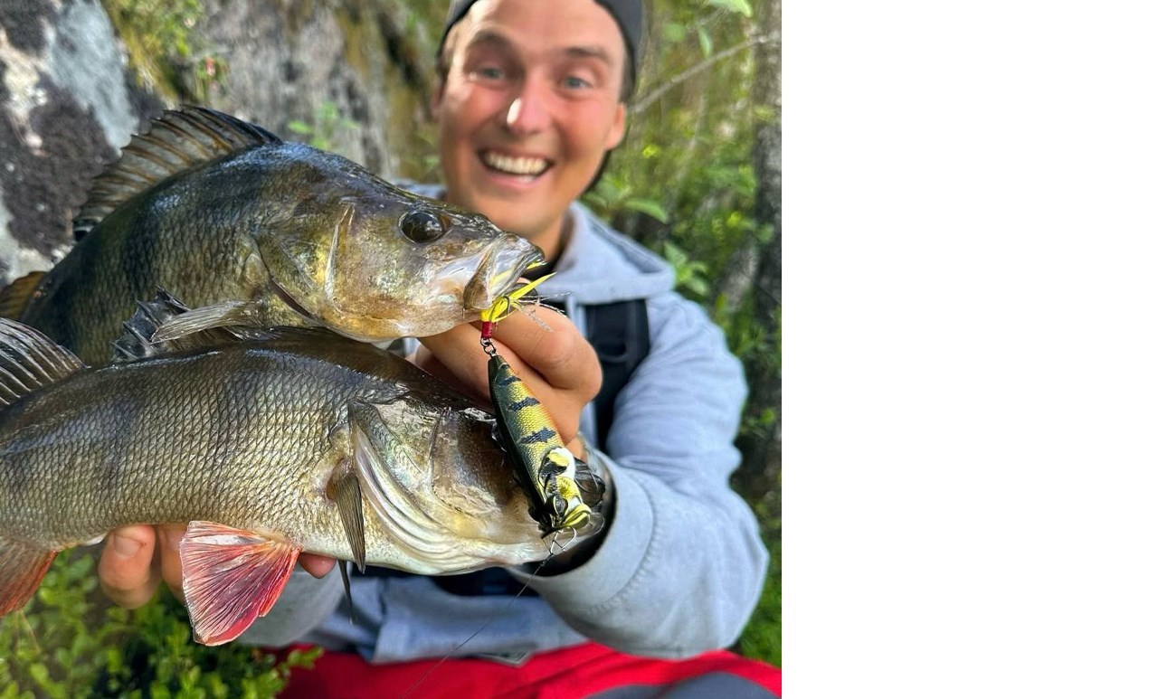 Picture of Adusta NEO REAN 6,8cm Peacock Bass