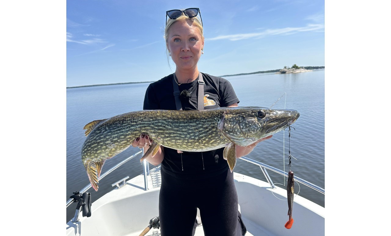 Picture of Fatnose Shad 23cm Motorpike med Stinger
