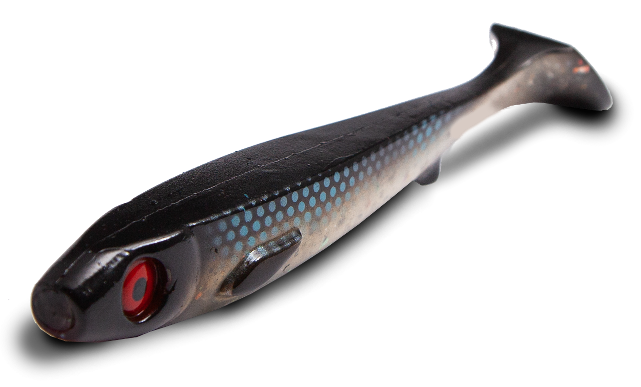 Picture of Flatnose Shad 19cm