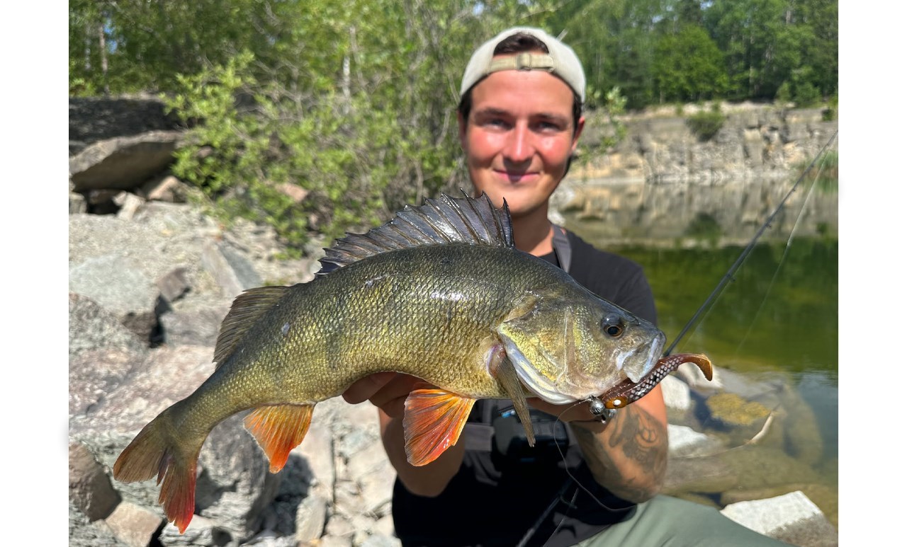 Picture of Edvins Stenbrottssfärg med Jiggskallar