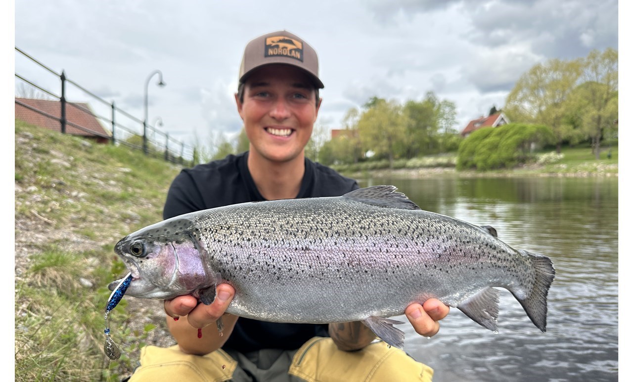 Picture of Regnbågsbundle 