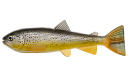 Picture of PulzBait Starter Kit 15cm