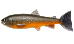 Picture of PulzBait Skinz - 15cm 2-pack