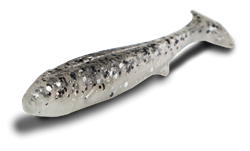 Picture of Flatnose Mini 9cm, 10-pack