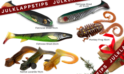 Picture of Christmas Tips 2 Team Galant Favorites Pike