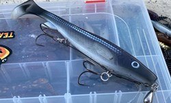 Picture of Rigs to Christmas Tips 2