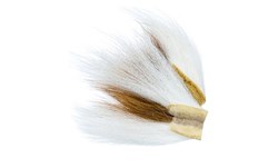 Picture of Bucktail Bit - Natural White