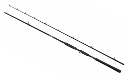 Picture of Abu Garcia Beast Pike Spinnspö