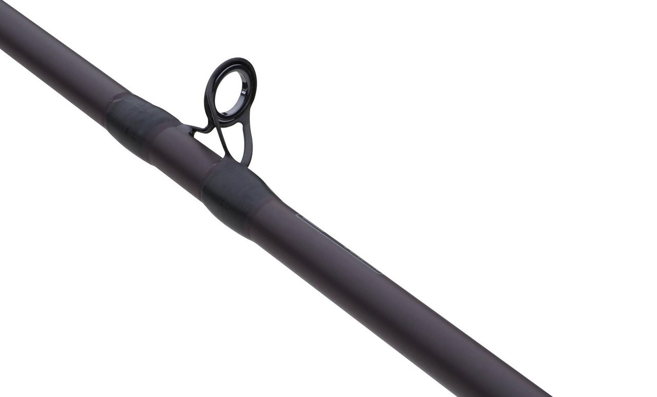 Picture of Abu Garcia Beast Pike Casting