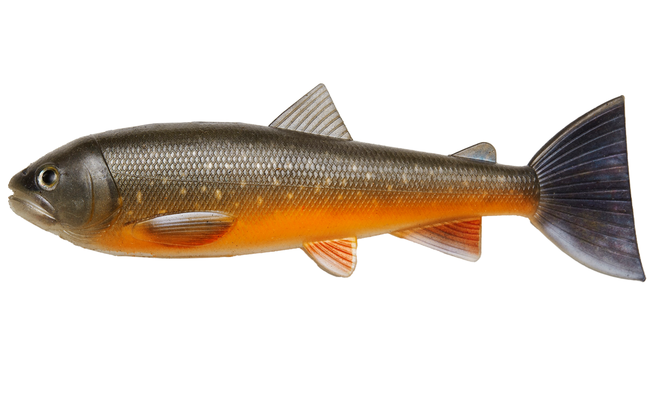 Picture of PulzBait Starter Kit 20cm