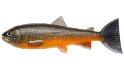 Picture of PulzBait Starter Kit 20cm