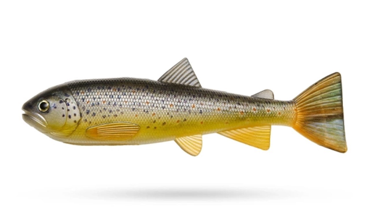 Picture of PulzBait Skinz Trout - 20cm 1-pack