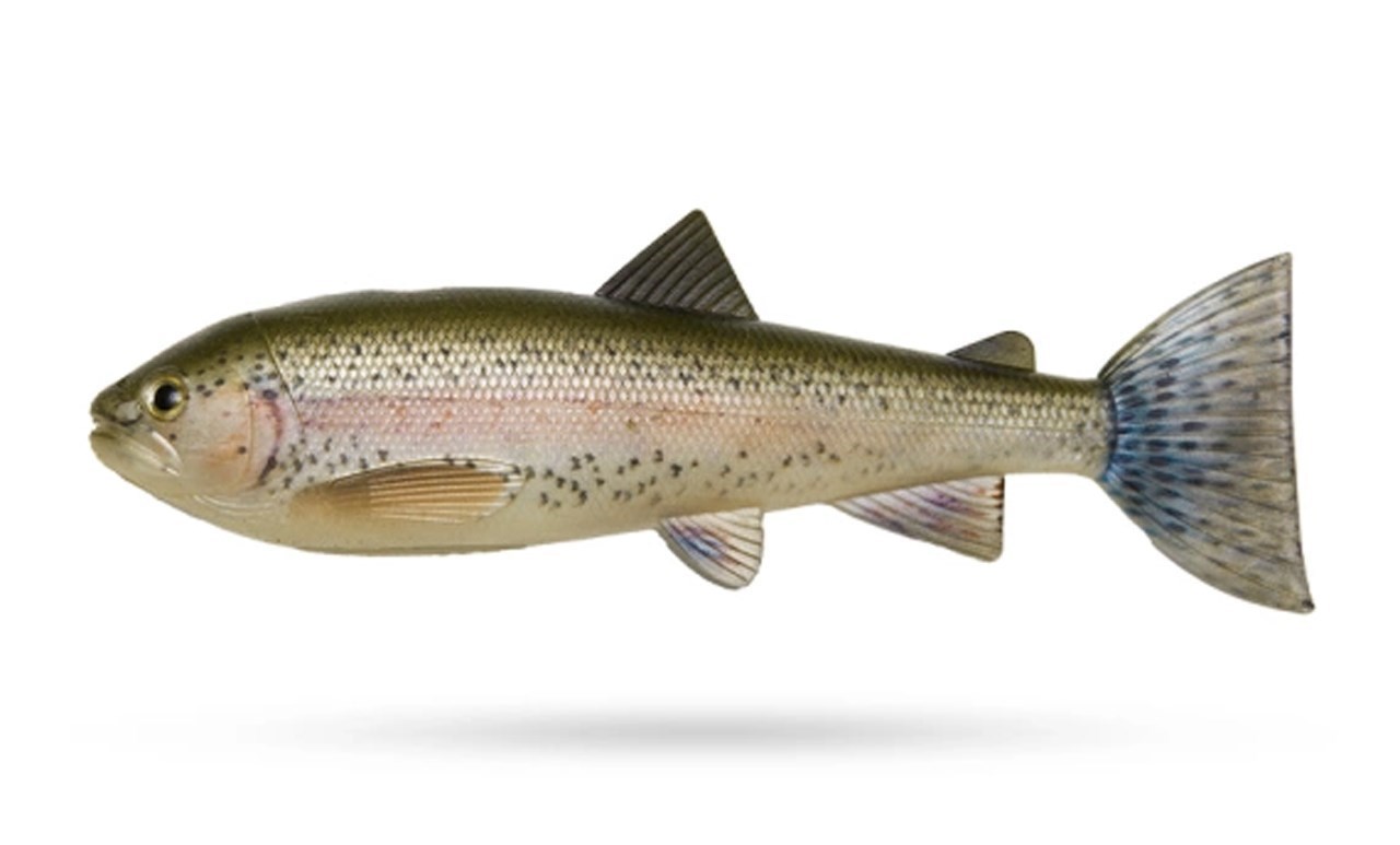 Picture of PulzBait Skinz Trout - 20cm 1-pack
