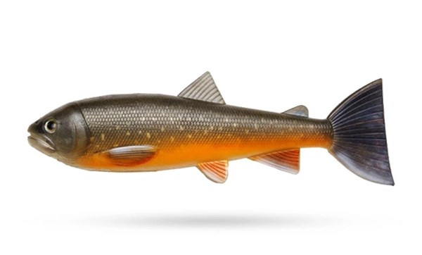 Bild på PulzBait Skinz Trout - 20cm 1-pack