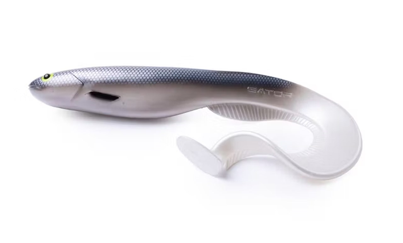 Picture of Gator Catfish 40cm, 230g