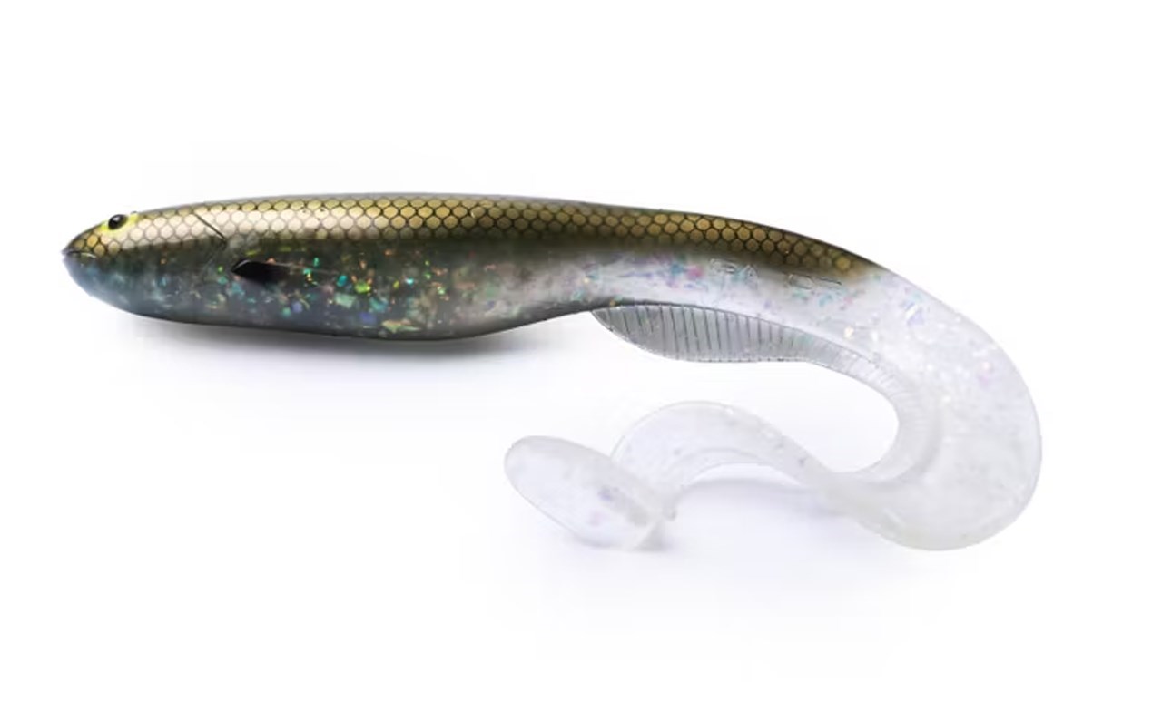 Picture of Gator Catfish 40cm, 230g