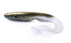 Picture of Gator Catfish 40cm, 230g